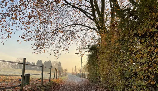 Feldweg in der Umgebung des Hofs